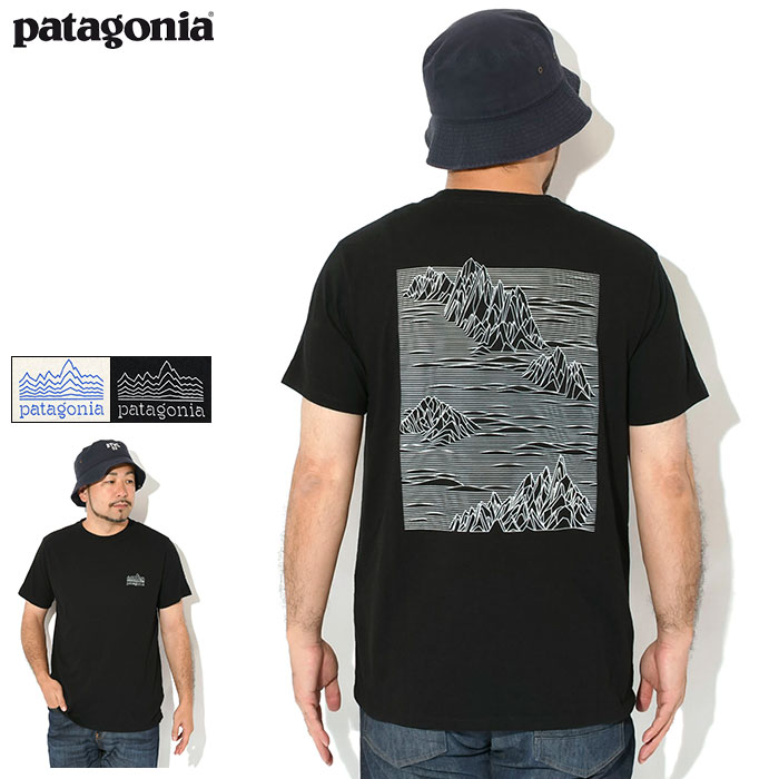 【Patagonia】 Daily Tee / 追跡付 ALPARRGRE.jpg