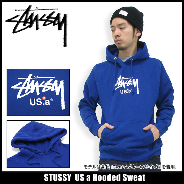 滑る 永久 勘違いする ステューシー 青 パーカー Akpli Org