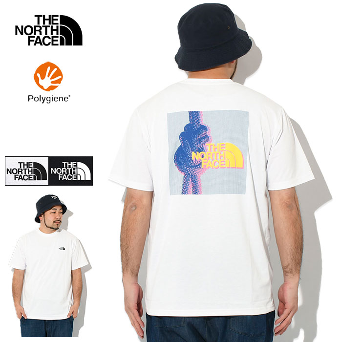 nor-nt32583.jpg