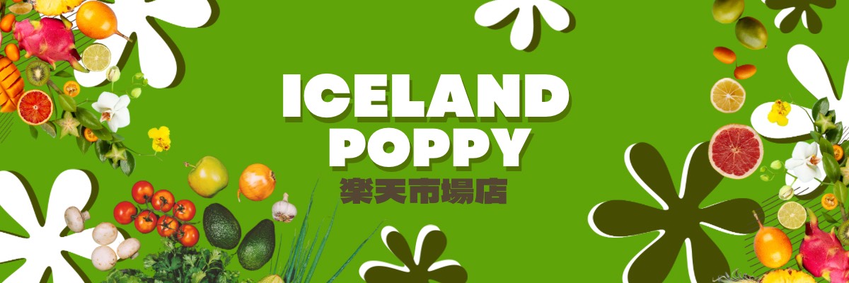 Iceland Poppy ŷԾŹڥåʡڥåȥաɤ¿갷ŹȤʤޤ