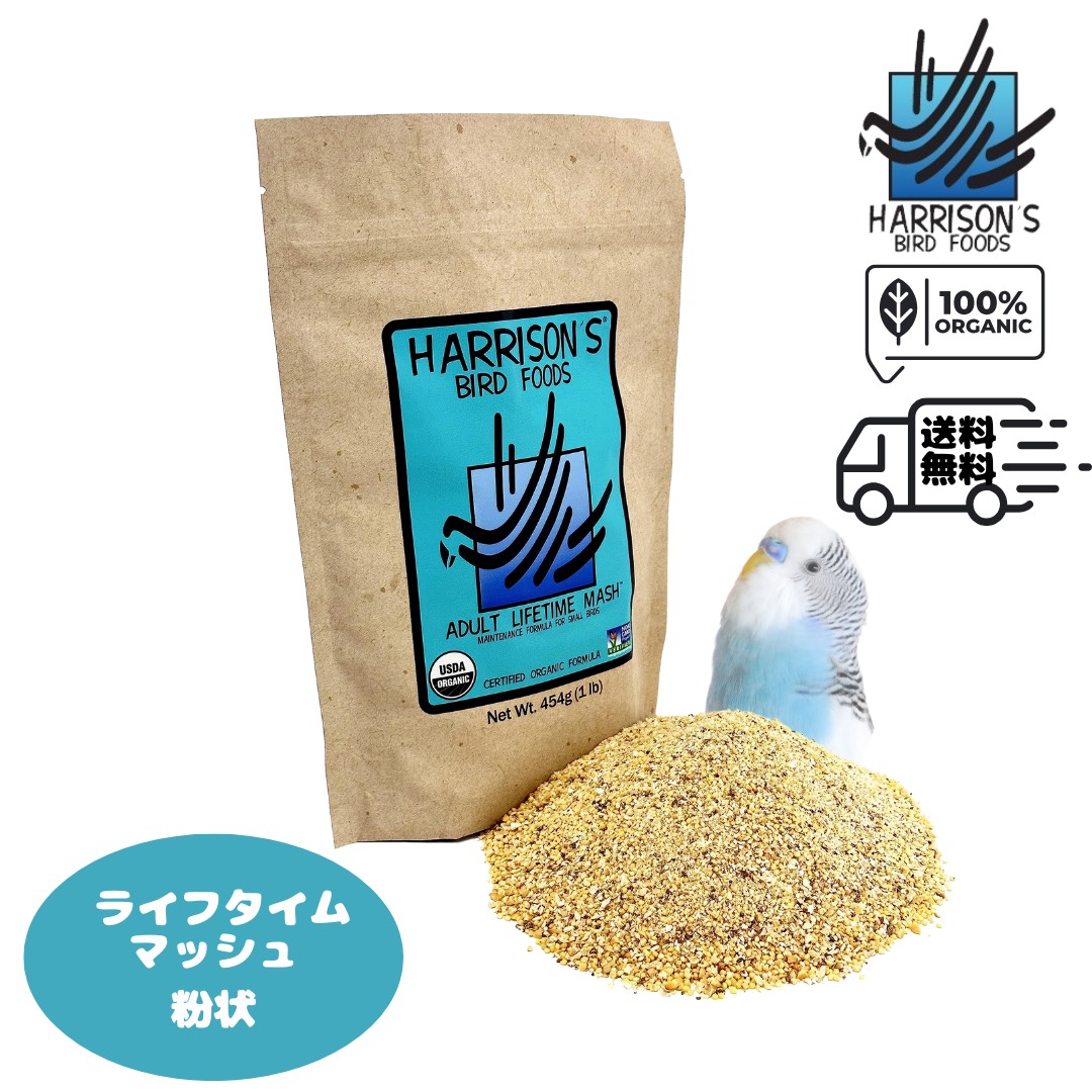 【専用出品】鳥の餌セット 特撰メダカの餌（20g） | 株式会社スドー｜観賞魚・水草 爬虫類