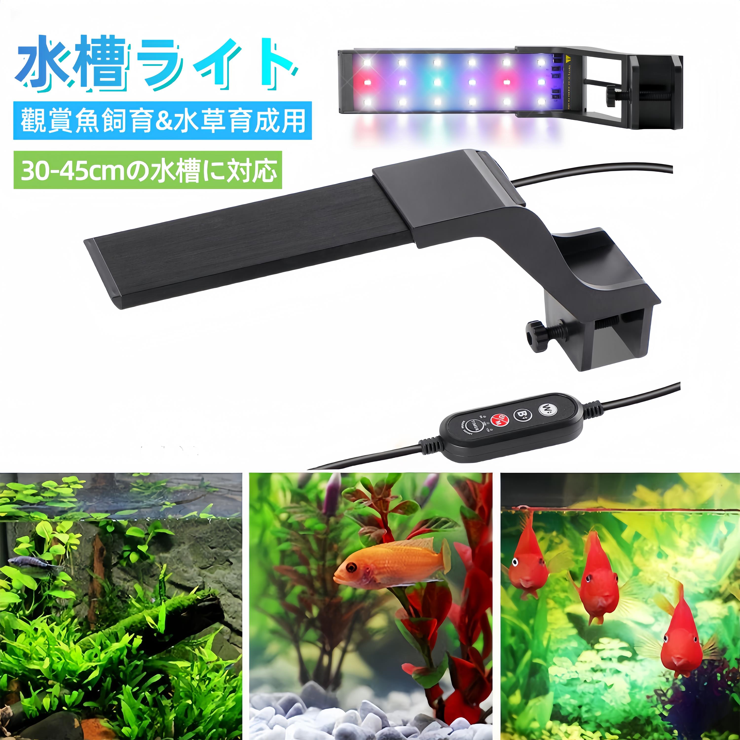 楽天市場】P5倍UP○25日限定全品10％OFF〜【最強配送】水槽