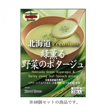 北海大和 北海道緑薫る野菜のポタージュ 48g(16g×3袋)×48【代引不可】