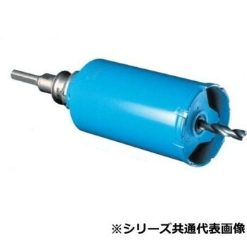 セレクト ガルバウッドコアSDSシャンク 110 SE47495【同梱・代引き不可】