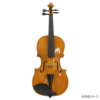 HOSCO(ホスコ) 楽器組立キット　バイオリンキット V-KIT-1【代引不可】