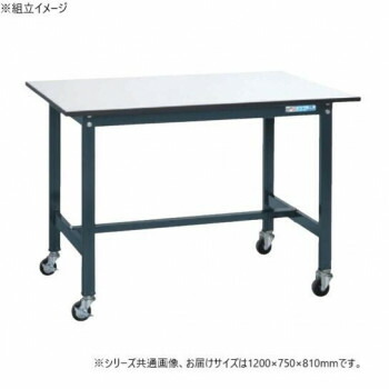 サカエ 軽量作業台SELタイプ 抗菌加工 ダークグレーキャスター付 1200×750×810mm SEL-1275PR【同梱・代引き不可】