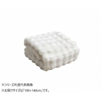 2枚合わせ毛布　ラピアス　プレミアム　IV　100×140cm　1195990140910【代引不可】