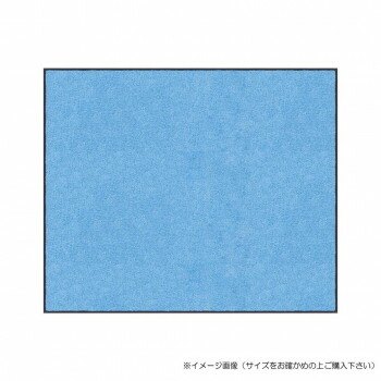 (クリーンテックス) スタンダードマットS スカイ・ブルー 90×150 cm【同梱・代引き不可】