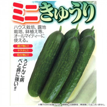 小林種苗 キュウリ種子 小次郎　1　100粒【代引不可】