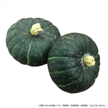 【当選確からしさ1/2！最大限度100%尖んがりうしろ側 11日1:59迄】 小林種苗 西洋カボチャ内果皮 ほっくりはん 8143 500粒【代引不可】