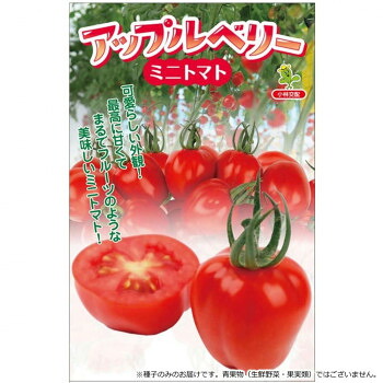 【当選確からしさ1/2！最大限度100%尖んがりうしろ側 11日1:59迄】 小林種苗 ミニ赤ナス内果皮アップル木ノ実? 6833 1000粒【代引不可】