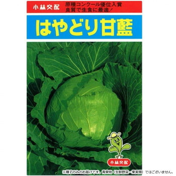 小林種苗 球菜内果皮 はやどり球菜 31 厚地の外套L5000粒【代引不可】