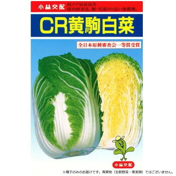 小林種苗 ハクサイ種子 CR黄駒 5 コートL5000粒【代引不可】