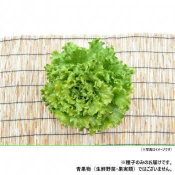 小林種苗 萵苣内果皮 モン御盆 7227 1デシリットル【代引不可】