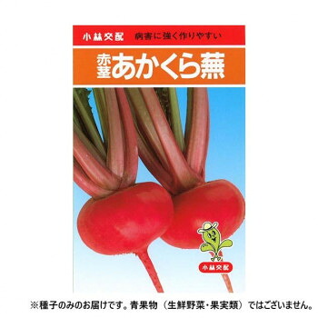 小林種苗 カブ種子 赤茎あかくら　10　1dl【代引不可】
