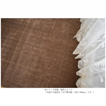 【当選確からしさ1/2！最大限度100%尖んがりうしろ側 11日1:59迄】 Keepar GK カットパイルカーペット 防壁蝨目・抗菌・防音・床暖相応う 赤銅色 日本の首都間10帖 352×440【代引不可】