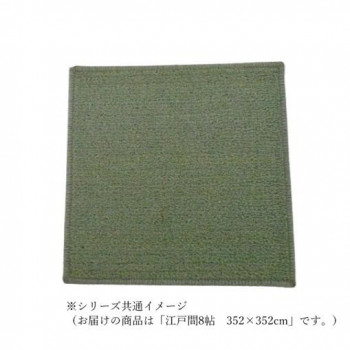 マカロンループ ループパイルカーペット 防壁蝨目抗菌防炎・床暖相応う 緑であること 日本の首都間8帖 352×352【代引不可】