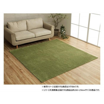 ミックスパイル ラグ 約3畳 約200×250cm ホットカーペット対応 グリーン 3985479【代引不可】