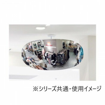 ユニット スーパーオーバルミラー　室内用 869-731【同梱・代引き不可】