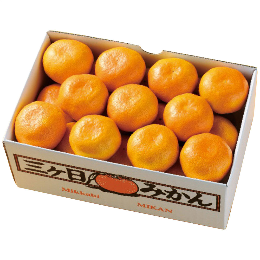 オリジナル盤！METEORS/DOING～ 黒盤LP サイコビリー