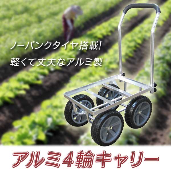 高評価のクリスマスプレゼント ヨドノノーパンクタイヤ固定車付AL-WK250-41個362-1928（直送品） - 真空フィルター -  www.thjodfelagid.is