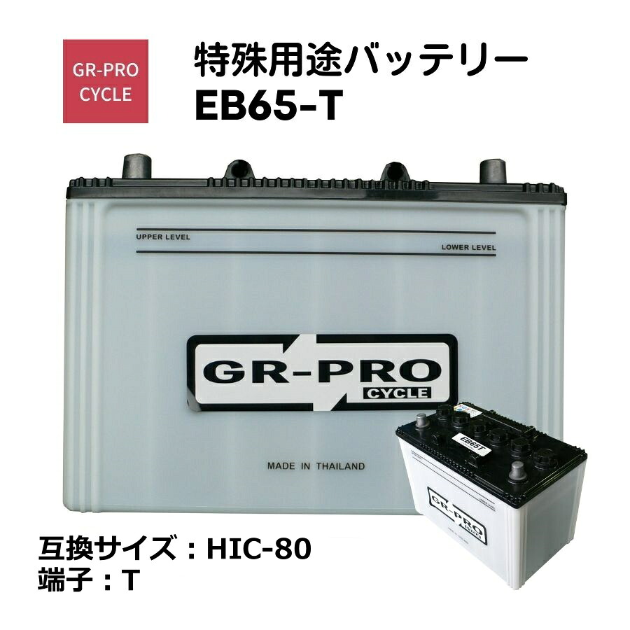 GR-PRO CYCLE 特殊用途バッテリー 交換用バッテリー 高所作業車 スイーパー スクラバー 小型電動車 BROAD EB65 EB65-T 【代引/同梱不可】|壱番館STORE
