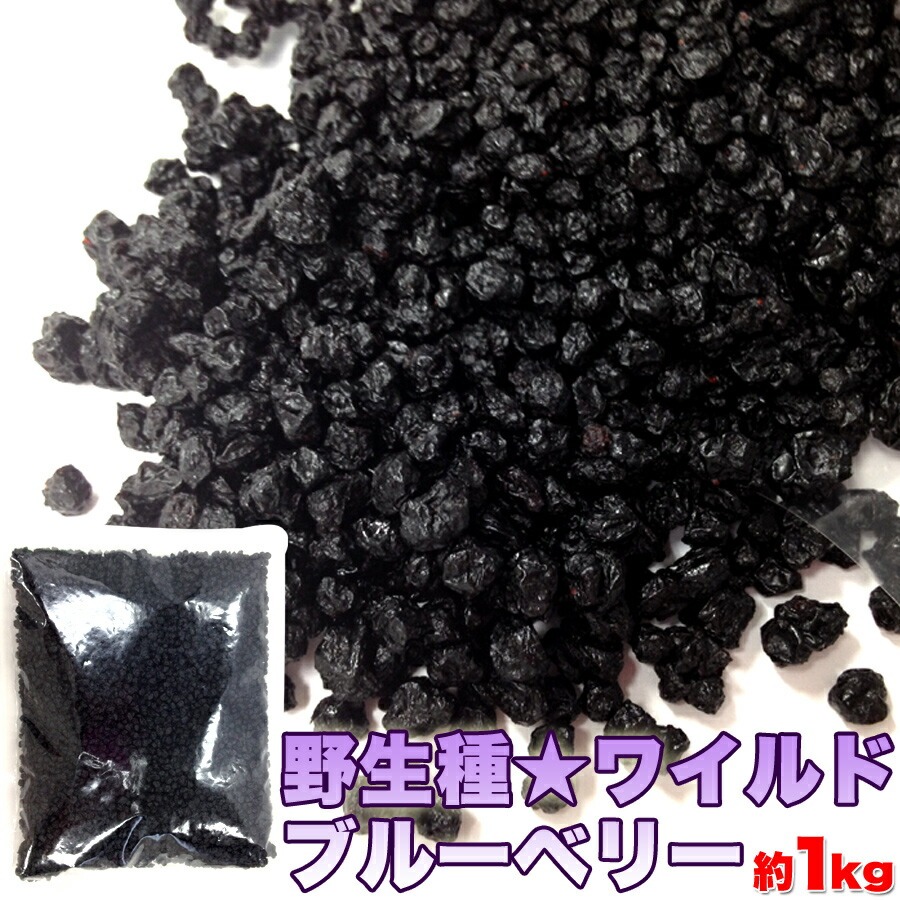ワイルドブルーベリー 大容量1ｋｇ 業務用 ブルーベリー 希少なワイルドブルーベリーがこんなにどっさり！！ 【代引不可】