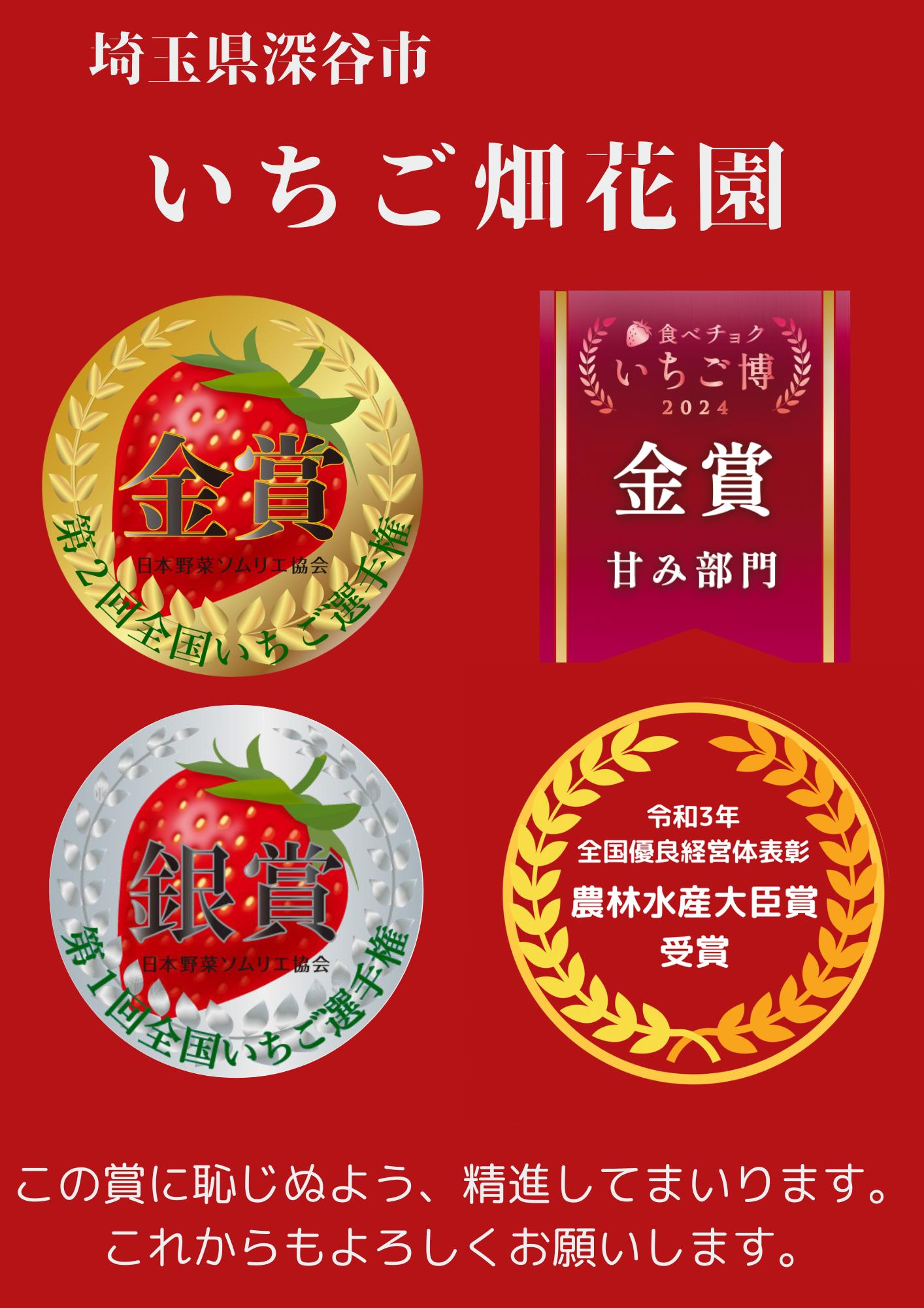 農園直送】あまりん 2パック 500グラム 16粒〜30粒 いちご イチゴ 苺