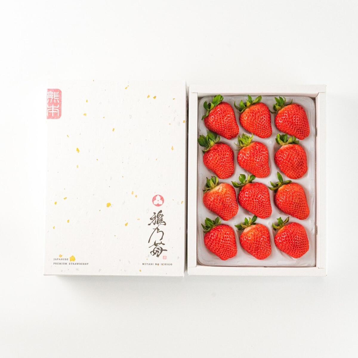 保証冷凍苺24kg(500g×48袋）佐賀県産 スムージー ジャム カキ氷 果物