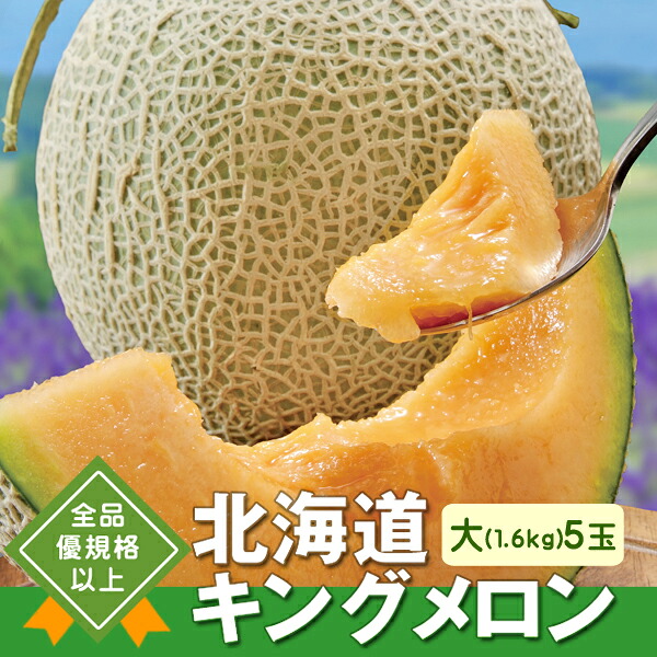 産地直送 北海道キングメロン【大（1.6kg）5玉】 05-hg 送料無料 ※同梱注文不可｜ワイン紀行
