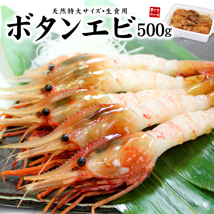 超特大ボタンエビ500g（9～12尾）送料無料  ぷりっぷり、甘みたっぷり特大サイズ お刺身OK（ギフト 母の日 父の日 お中元 プレゼント 食べ物 海鮮丼 手巻き寿司 御祝 内祝 BBQ）om22《ref-eb2》[[ぼたんエビ500g]