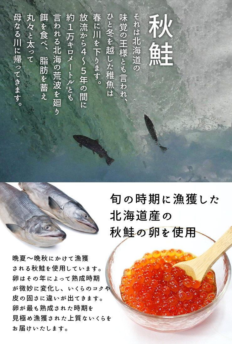 開祖の日附き付届けに 送料無料 北海道作るいくら醤油漬け神もって500g 時節の時季に獲れた秋鮭の卵細胞を使った極上のいくら ぷちっと弾けてトロリととろける 居え物筐付 かあ様の日 父の日 ギフト 御慶び事 内祝 贈答 つけ届 Ref Sr4 Yd5 鮭イクラ500g Vned Org