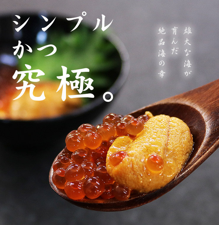 楽天市場 送料無料 無添加うに イクラ丼4杯分 無添加生ウニと北海道産いくら醤油漬け絶品海鮮丼セット 母の日 父の日 刺身 海鮮丼 手巻き寿司 おつまみ 御祝 内祝 誕生日 贈り物 プレゼント Ref Ur1 Yd5 ウニイクラセット 2p まぐろ処 一条