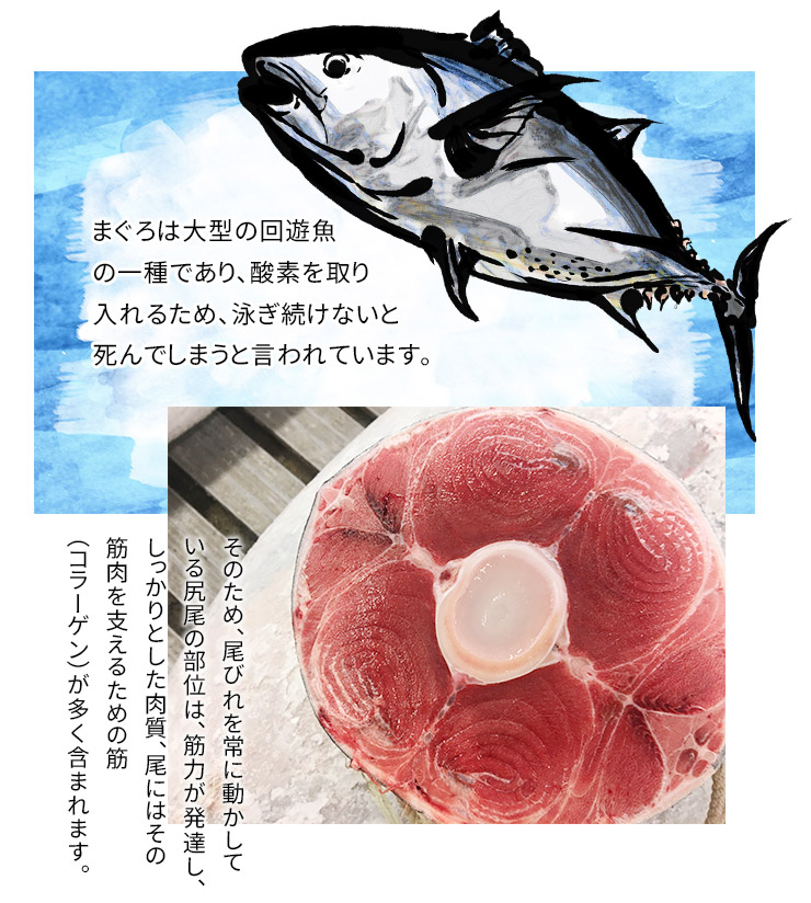 楽天市場 送料無料 天然本マグロ尾の身 テールステーキ 加熱用たっぷり1kg 高級食材本マグロの尾肉を豪快に輪切りカットでお届け こんがり焼けばジューシーで肉厚な身が絶品 qにピッタリ 訳あり わけあり Pbt Tl1 Yd9 天然本鮪テールステーキ1kg まぐろ