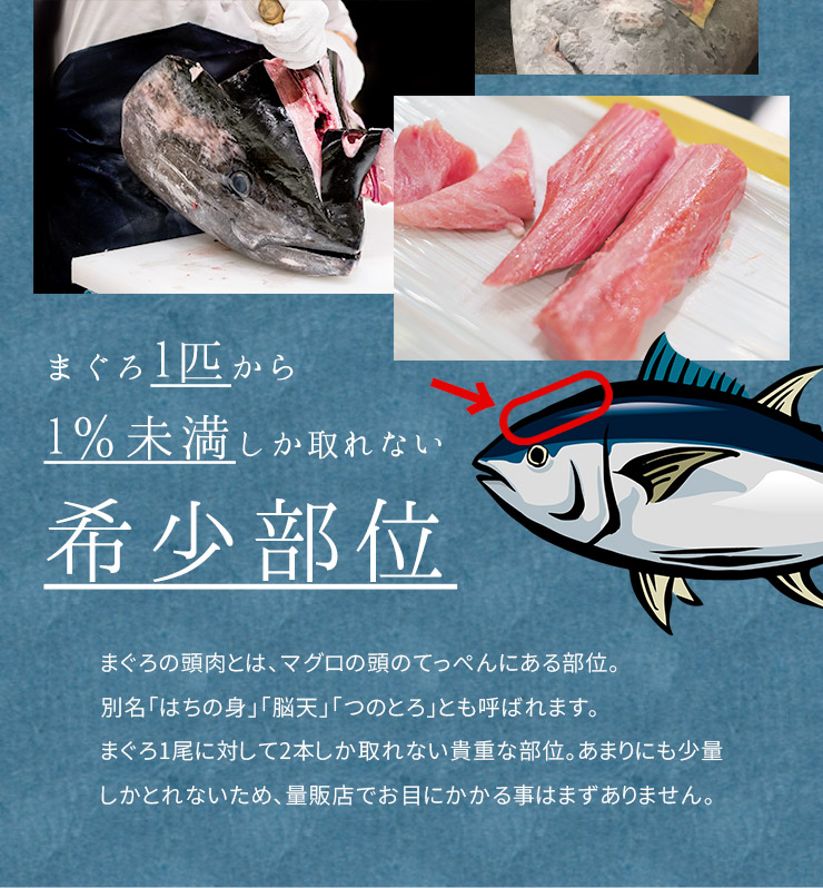 市場 天然本マグロ頭肉切り落とし100g つのトロ お刺身鮮度でお届け 鮪 貴重な本マグロの中でも希少部位 脳天 刺身 まぐろ