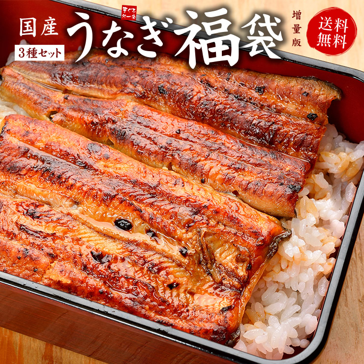 国産うなぎ福袋 増量版 長蒲焼き160〜170g×2 きざみうなぎ80g×2 うなぎ肝串焼き4本 お歳暮 御歳暮 お年賀 食べ物 贈り物 プレゼント  ギフト 国内産 土用の丑の日 御祝 内祝 誕生日 《not-du2》〈ue1〉yd9 国産うなぎ福袋-2p 国際ブランド