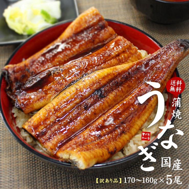 国産うなぎ長焼き20枚 無投薬うなぎ長焼き・並(120g)|有機野菜 通販 Oisix