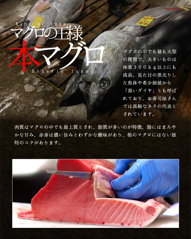 送料無料 進数マグロ訳あり中トロどっさり1kg あぶら身がのったトロ区分けをお届け わけあり 刺身 メガポーション まぐろ 鮪 生まれ平均太陽日 実家飲み込み 居宅飲み 手巻き弥助 Pbt Bf10 Bf1 Yd5 訳あり中トロ1kg Selectguid Com