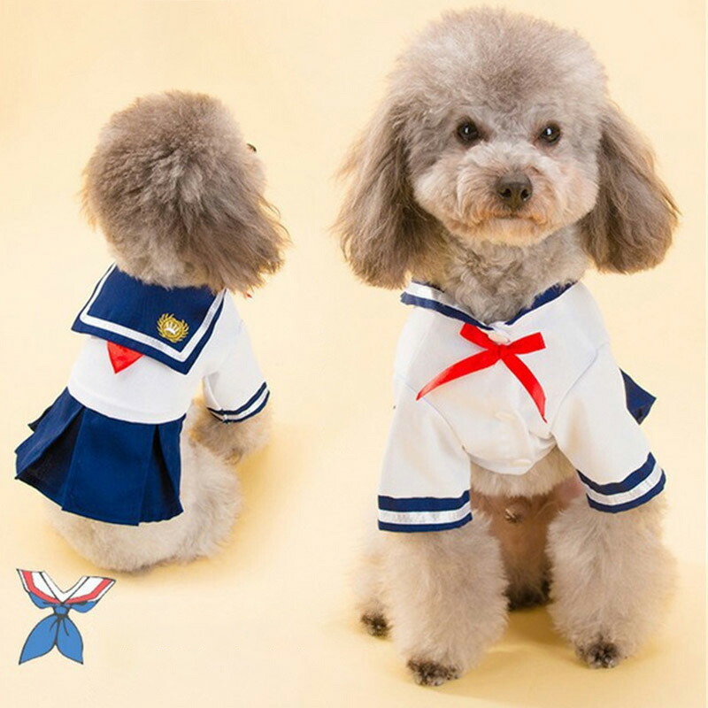 じゅん子さま☺︎わんこふく　犬服 71lj6GSZ87L._UF1000,1000_QL80_.jpg