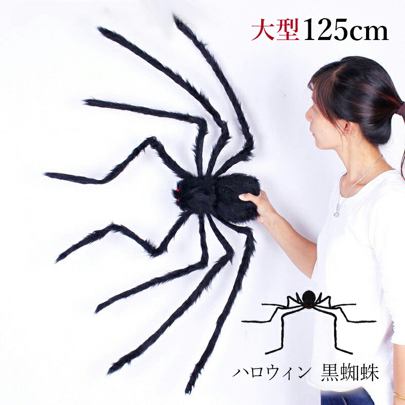 ic-wsj-wsjzb-01.jpg