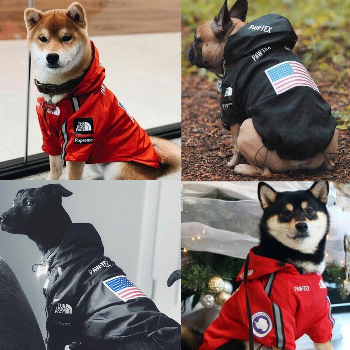 楽天市場 犬服レインコートパーカー サイズs 5xl 送料無料 反射テープアウトドア小型犬中型犬大型犬 ウインドブレーカー ドッグウェアペット服 スポーツ犬用品ファッションカッパ梅雨時期adidog Pupreme Thedogfaceu S Apetwariss イチカワクリーニング 布団丸洗い