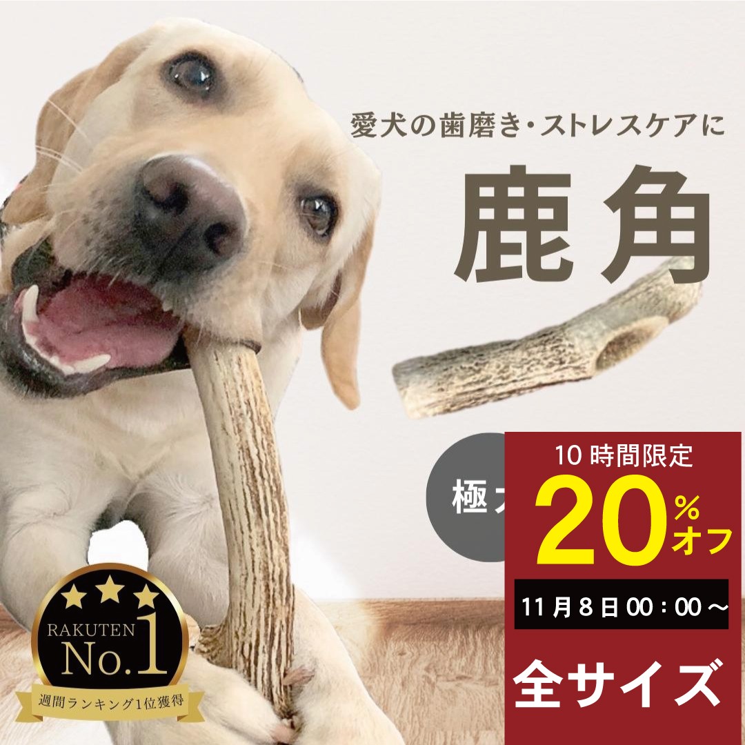 楽天市場】中型犬〜大型犬用 首輪 幅5cm スタッズ・スパイク【送料無料