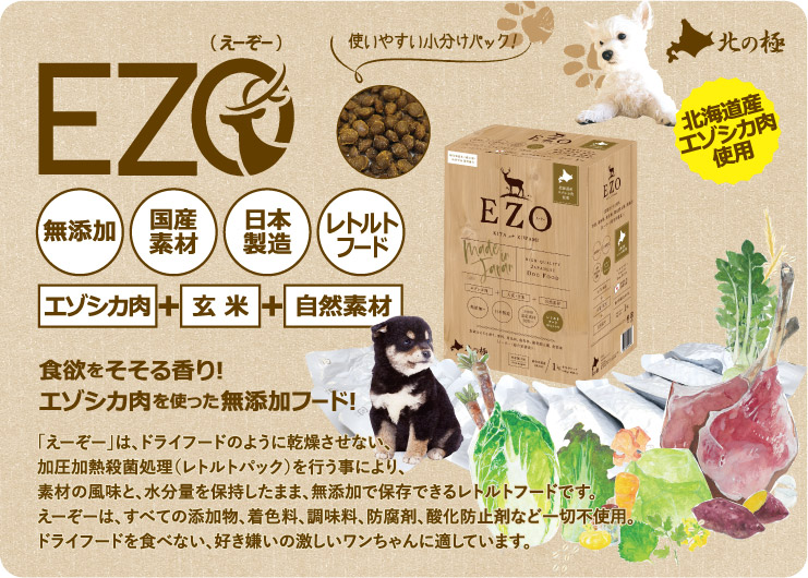 イチカワクリーニングの願望すること