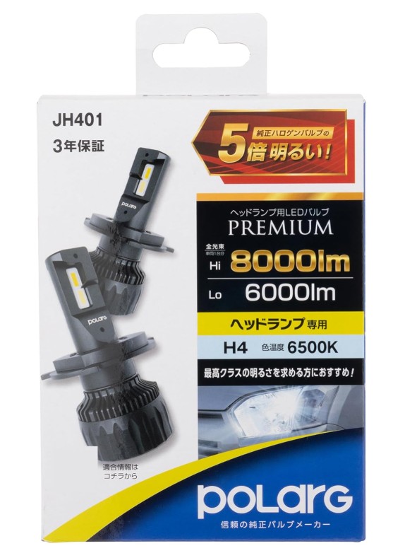 【激レア】BJパーマーポスター＋フレーム付き　カイロプラクティック/整体 激レア】BJパーマーポスター＋フレーム付き カイロプラクティック/整体