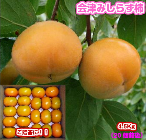 【楽ギフ_のし】<br>【がんばろう！福島】<br>お歳暮に最適！！<br>会津みしらず柿　平箱<br><br>・柿<br>・国産（福島県会津若松市）<br><br>ギフト/贈答/お歳暮/柿/カキ/渋柿/福島/会津/送料込み/果物/フルーツ
