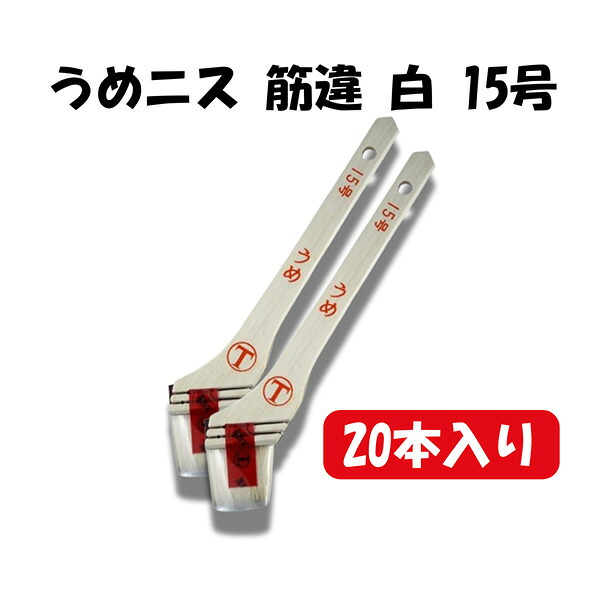 Meltec バッテリーチャージャーでいつも甲斐甲斐しいな蓄電池！