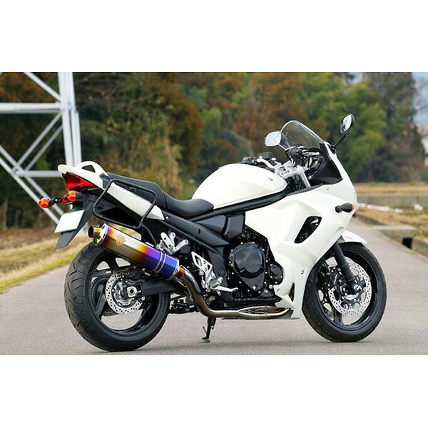 ワイバン ＢＡＮＤＩＴ１２５０ シングル ＤＢ WS09-01DB マフラー ワイバーン エグゾースト アールズギア フルエキゾースト ｜RideOne（ライドワン）