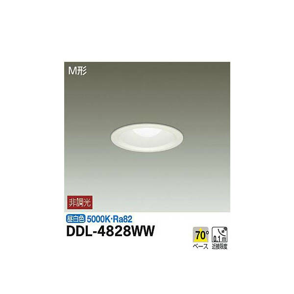 【メーカー直送】大光電機 ダウンライト DDL-4828WW