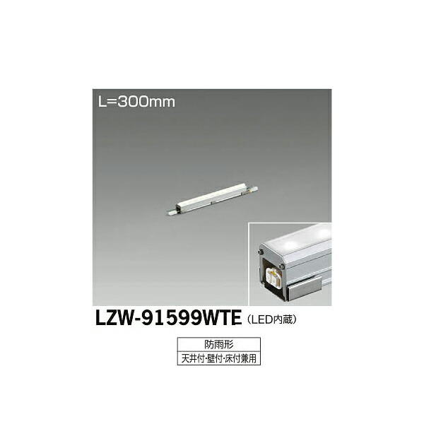 【メーカー直送】大光電機 LEDアウトドアラインライト LZW-91599WTE