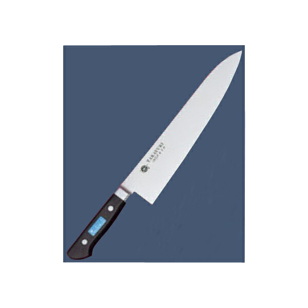 EBM INOX PC柄シリーズ 牛刀 24cm 7915500